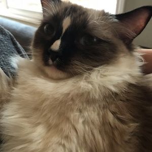 Meet your Posher, Kevin